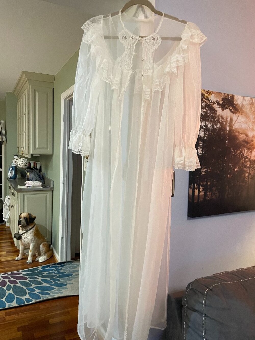 Sears sheer robe NEVER WORN